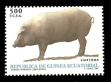 Animales domésticos - Cerdo Ibérico