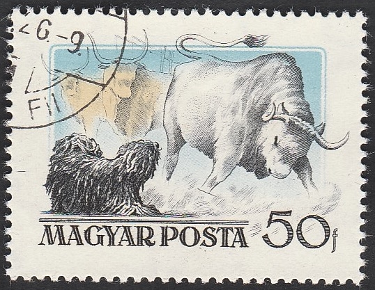 1191 - Perro húngaro