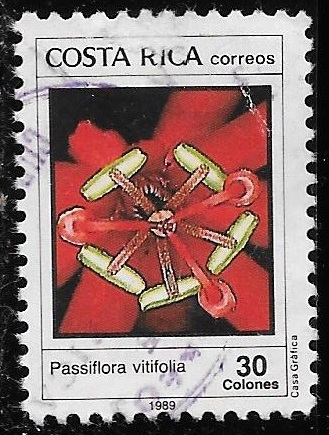 Costa Rica-cambio