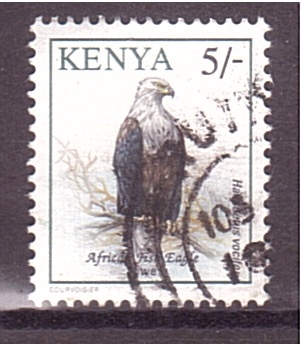 serie- aves- aguila pescadora africana