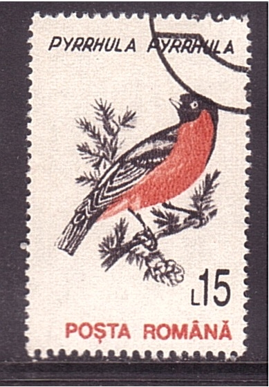 serie- Fauna local