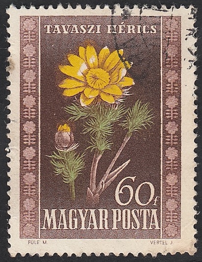 965 - Flores