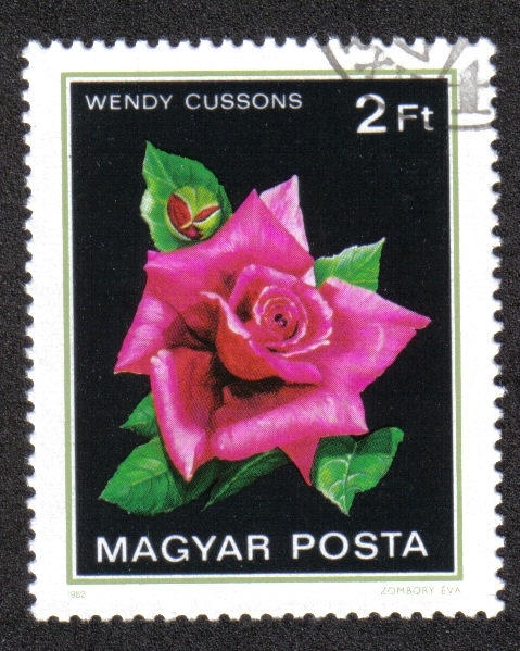 Rosas