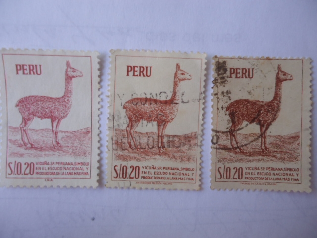 Vicuña-Cuatro emisiones: 1953,1962(Thomas de la Rue), 1960 (Joh Enschedé) 1966 (INA-Austria)