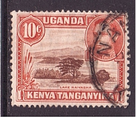 Lago Naivasha