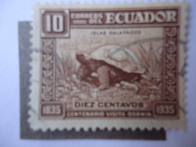 Islas Galápagos-Centenario de la visita de Darwin a la Isla 1835-1935-Galápagos tortoise(Chelonoidis