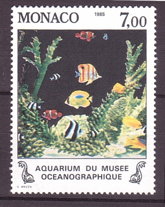 Acuarium MUseo Oceanográfico