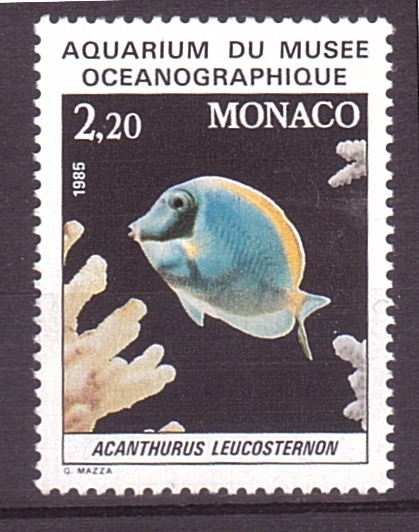 Acuarium Museo Oceanográfico