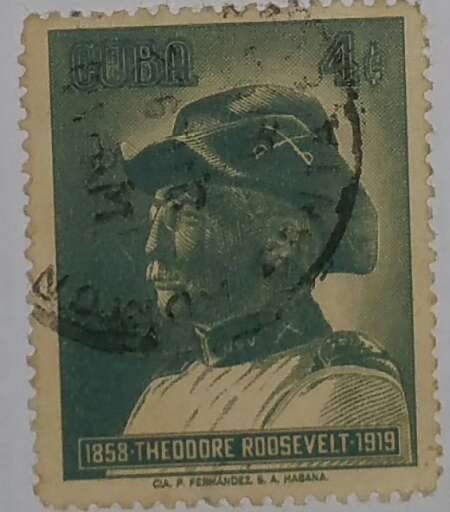 Theodore Roosevelt 4c