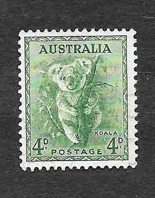 171 - Koala