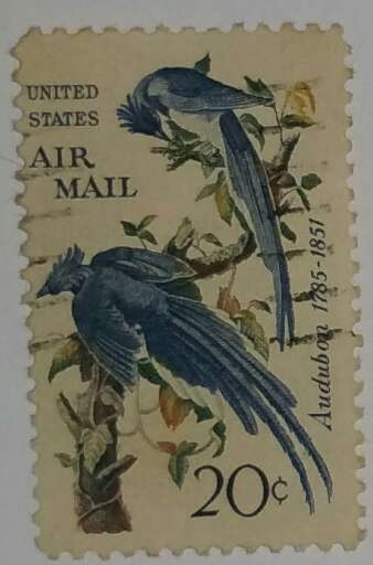U.S. Air Mail 20c