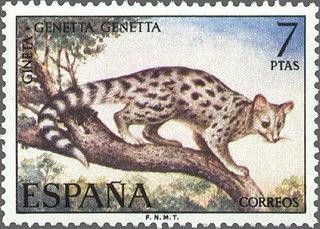 2106 - Fauna hispánica - Gineta