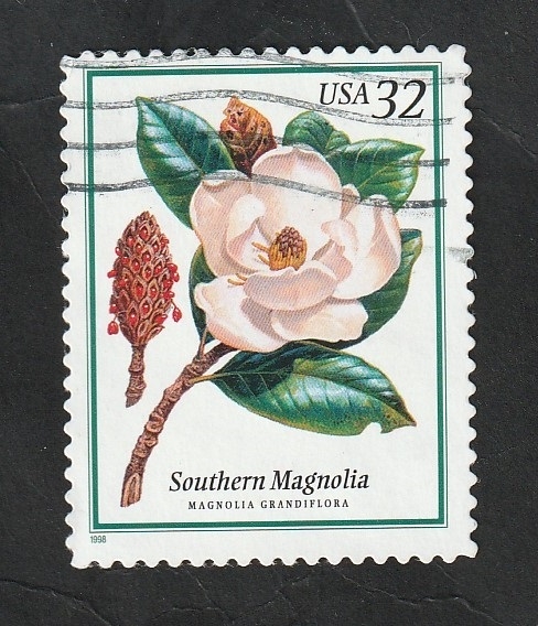 2710 - Magnolia