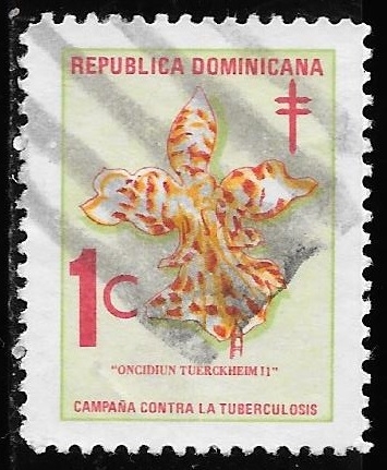 República Dominicana-cambio