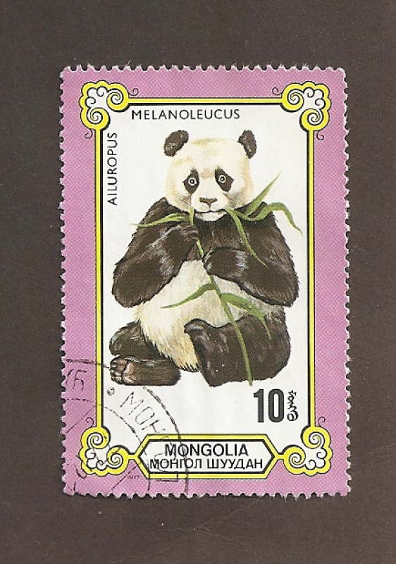 Oso Panda