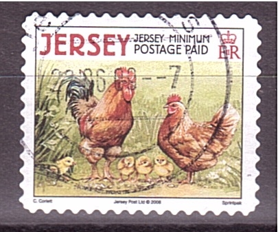 serie- Animales de granja