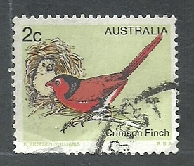 Crimson Finch (ave)