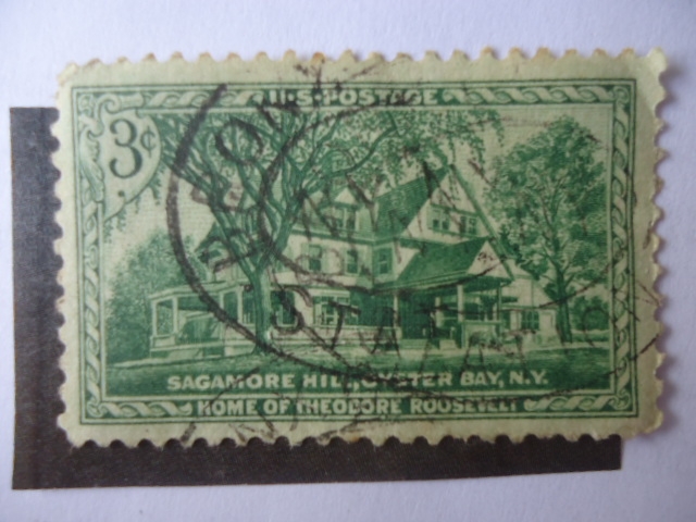 Casa de Theodore Roosevelt - Sagamore Hill, Cyster,N.Y