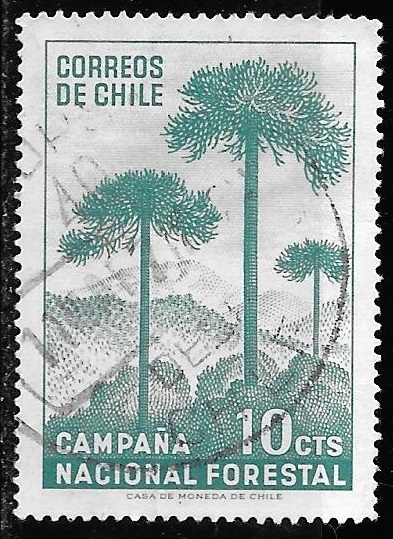 Chile