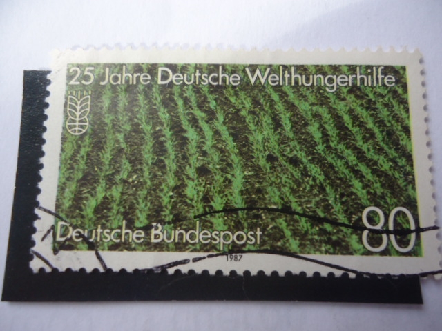25 Años de la Ayuda Alemana Contra el Hambre - Alemania Federal.