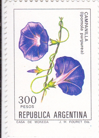 FLORES-CAMPANILLA