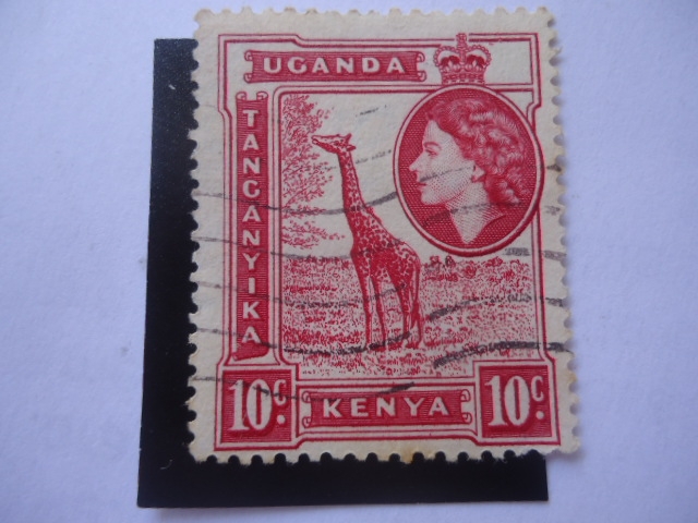 Girafa - África del Este británica-Kenia-Uganda y tangani.