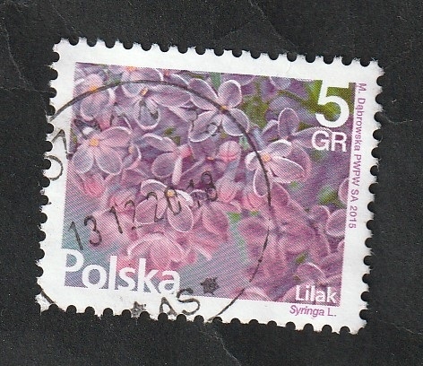 4455 - Flores Lilas