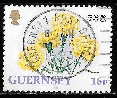 Guernsey-Cambio