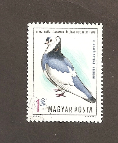 Exposición internacional de palomas en Budapest