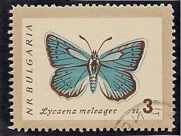 Mariposa