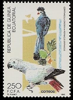 Aves - gran Turaco azul  y  Yaco  loro gris de cola roja