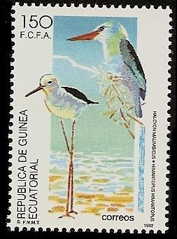 Aves -  cigüeñuela  y Alción kingfisher de pecho azul