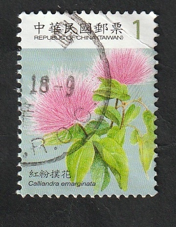 3228 - Flor calliandra emarginata