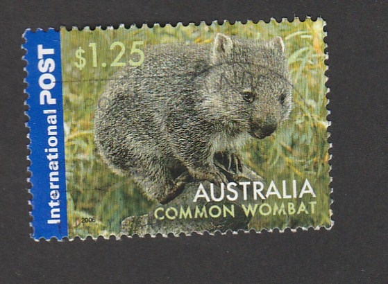 Marsupial wombat