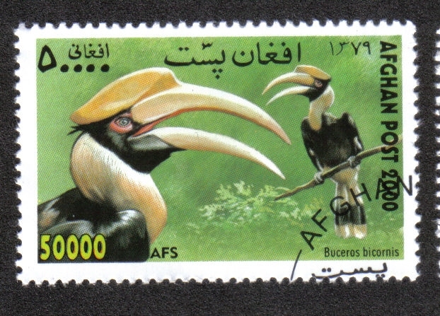 Exposición Internacional de Estampillas WIPA '00, Viena. Gran Hornbill (Buceros bicornis) 