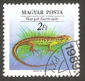 3223 - Reptil, lacerta agilis