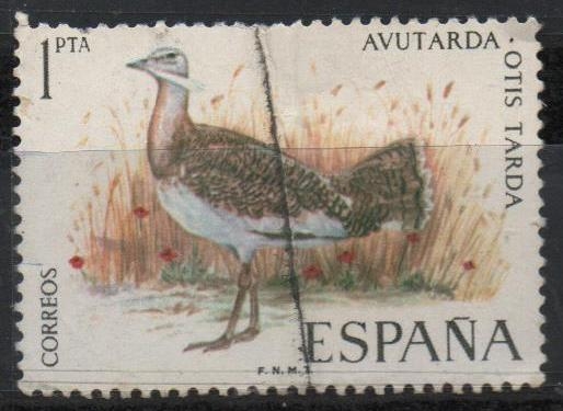 Fauna hispanica (Avutarda)