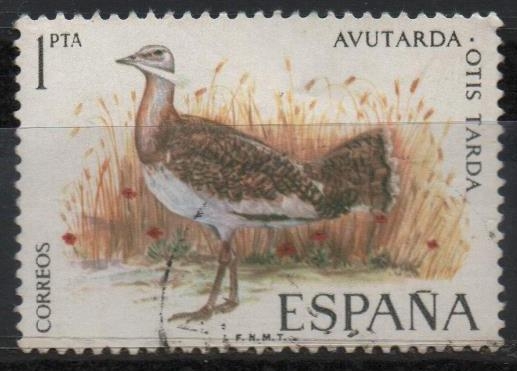 Fauna hispanica (Avutarda)