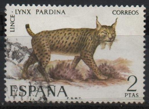 Fauna hispanica (Lince)