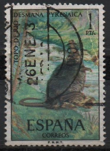 Fauna hispanica (Topo d´Agua)