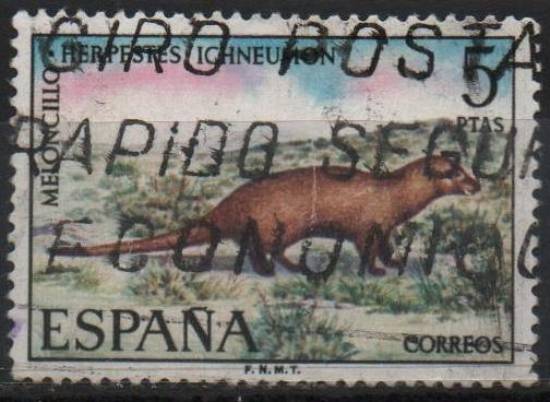 Fauna hispanica (Moloncillo)
