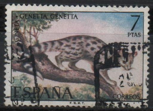 Fauna hispanica (Gineta)