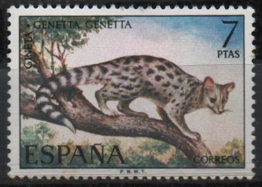 Fauna hispanica (Gineta)