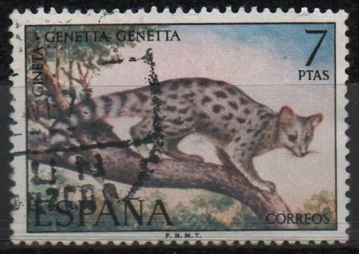 Fauna hispanica (Gineta)