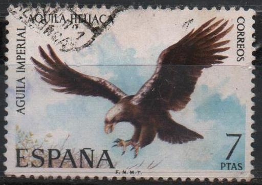 Aguila Imperial