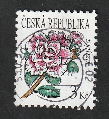 502 - Flor azalea