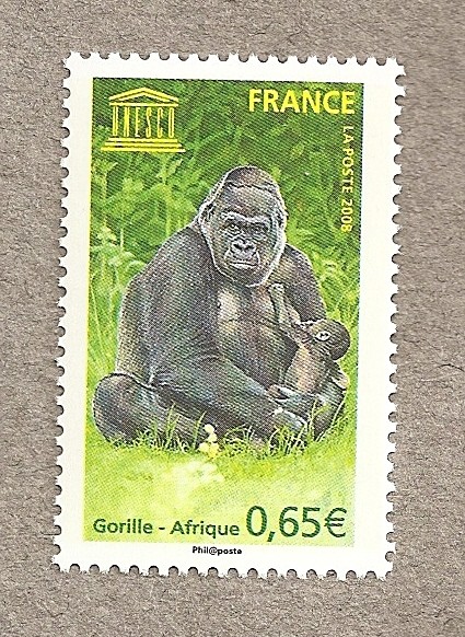 Gorila centroafricano