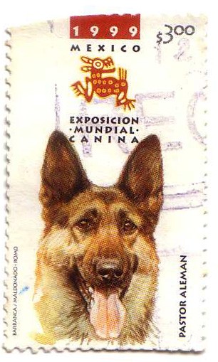 Exposicion Mundial Canina