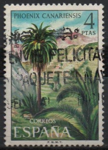 Flora 