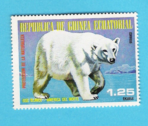 OSO  BLANCO